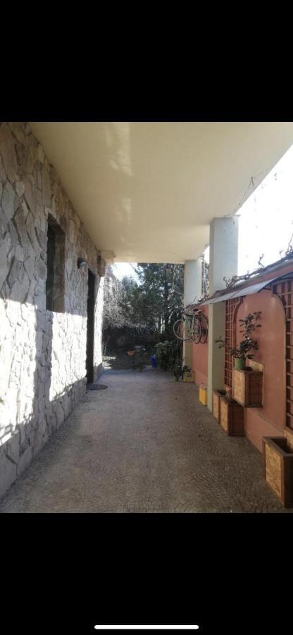 דירות טורינו Yellow House מראה חיצוני תמונה